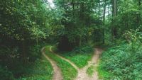 Which sobriety path is best for you?