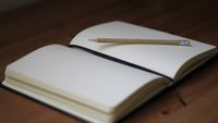 Check-In Diary feature showing progress tracking with custom notes